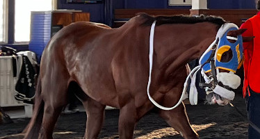 ain&rsquo;t da beer cold