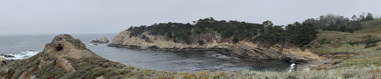 colorful coast zoomed out