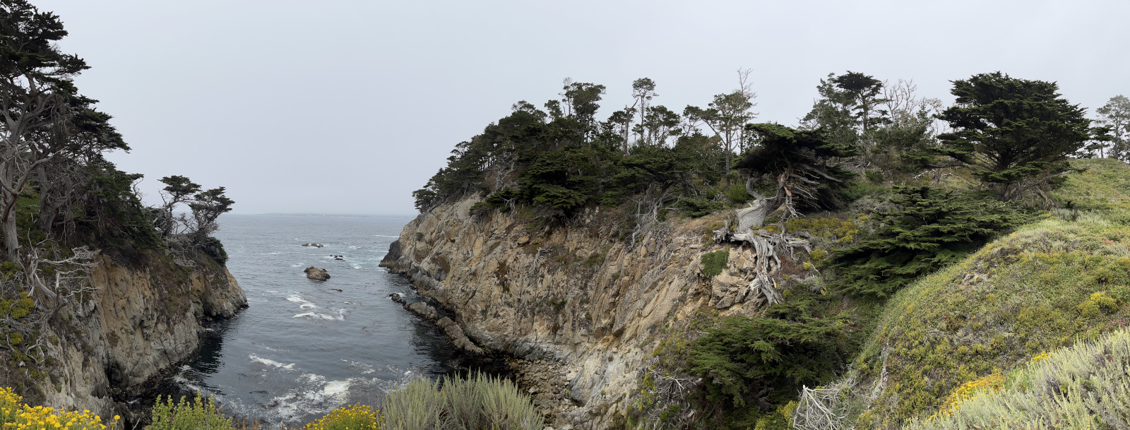 hopeful view in monterey